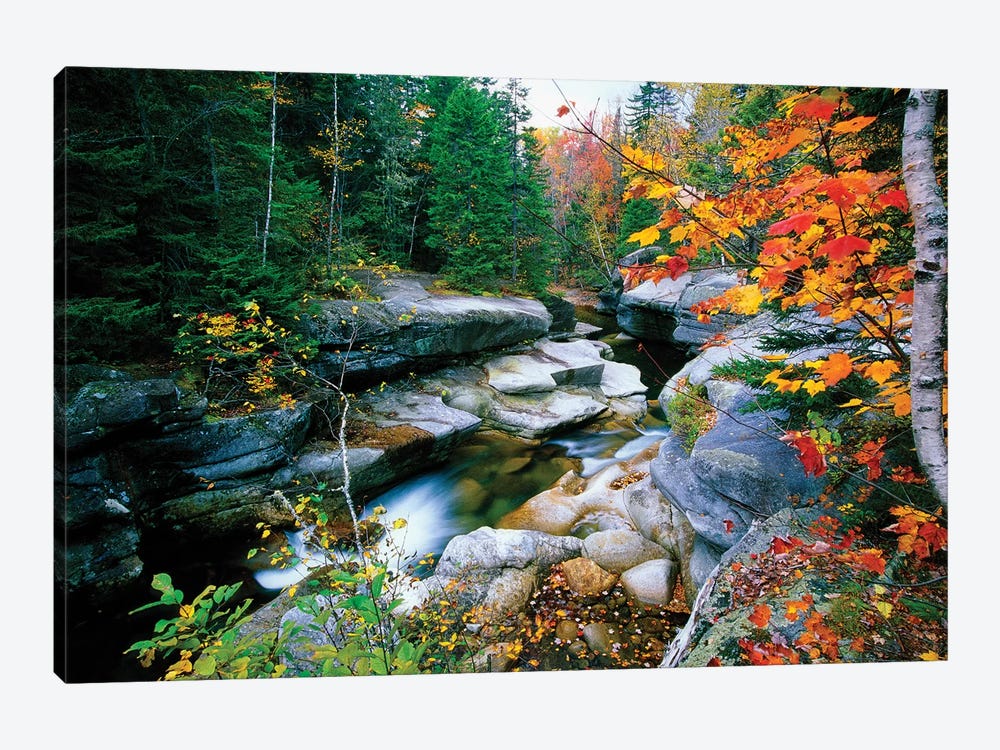 Granite rocks of Ammonoosuc River in Fall, White Mountains, New Hampshire  by George Oze 1-piece Canvas Artwork
