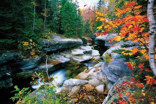 New Hampshire: Granite rocks of Ammonoosuc River in Fall, White Mountains, New Hampshire  by George Oze