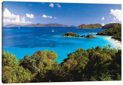 High Angle Panoramic View of Trunk Bay, St John, US Virgin Islands Canvas Art Print - Caribbean Art