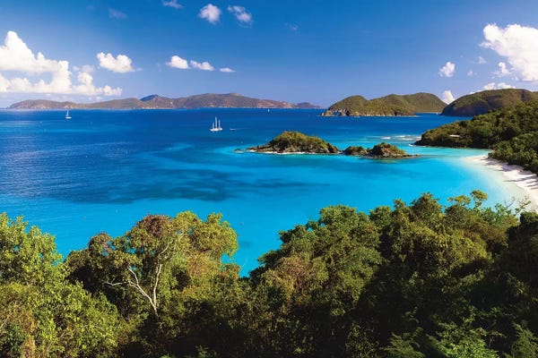 George Oze: High Angle Panoramic View of Trunk Bay, St John, US Virgin Islands by George Oze