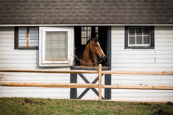 George Oze: A Horse Is Peaking Out Of A Stable Window, Tewksbury, New Jersey. by George Oze