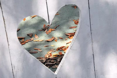 Heart Full of Love by Gail Peck framed wall art