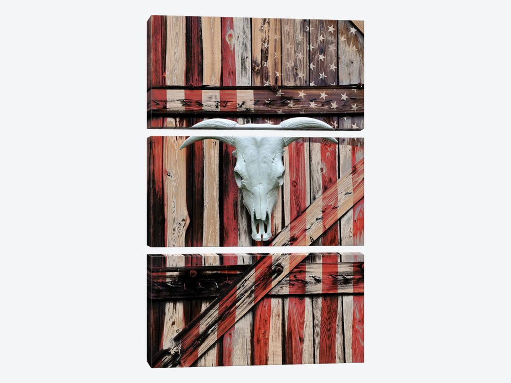 All American by Gail Peck 3-piece Canvas Artwork
