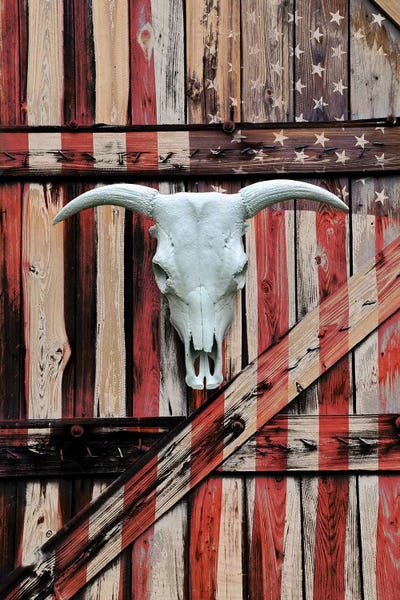 American Flags: All American by Gail Peck