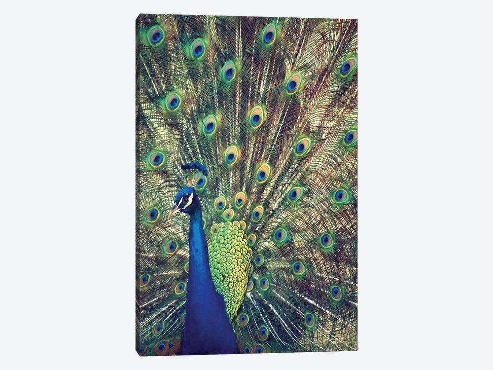 Royally Blue I by Gail Peck 1-piece Canvas Wall Art