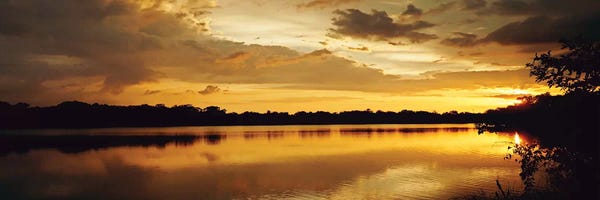 Yellow Sunset