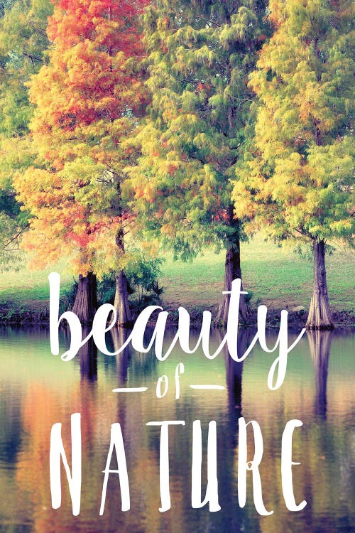 Beauty Of Nature by Gail Peck wall art