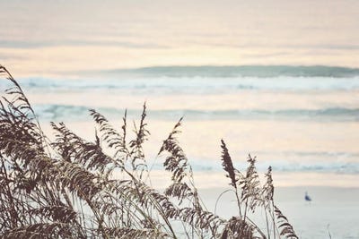 Early Morning by Gail Peck framed wall art