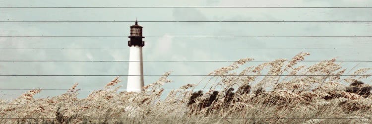 Let The Winds Blow
