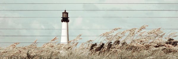 Let The Winds Blow