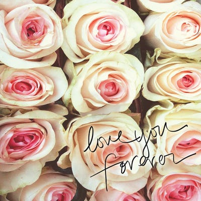 Love You Forever by Gail Peck framed wall art