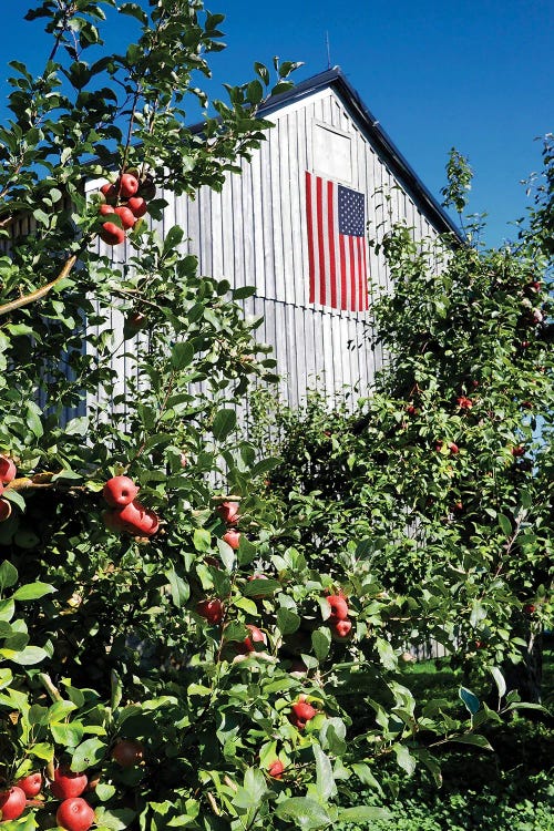 Patriotic Barn by Gail Peck wall art