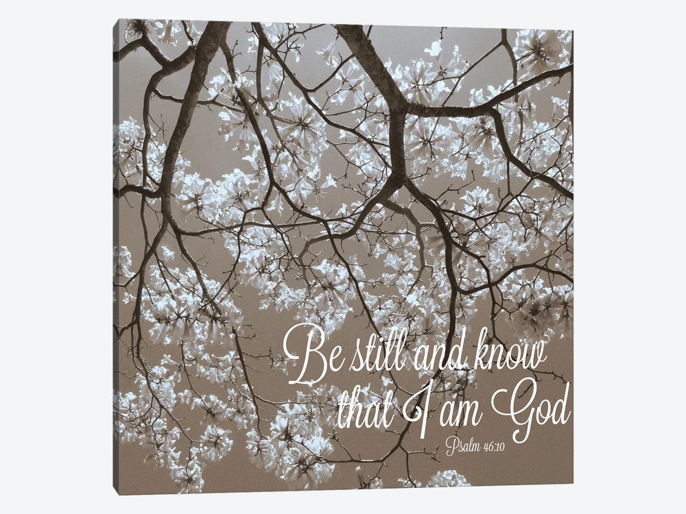 Be Still by Gail Peck 1-piece Canvas Artwork