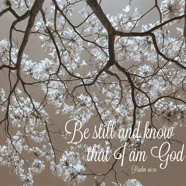 Bible Verses: Be Still by Gail Peck