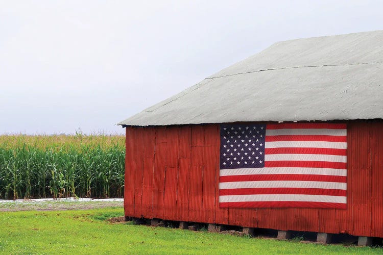 American Barn II by Gail Peck wall art