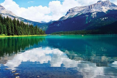 Clear Views by Gail Peck framed wall art