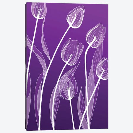 X-Ray Flowers I Canvas Print #GPH104} by GraphINC Canvas Artwork