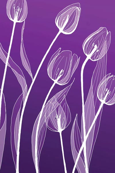 Blue: X-Ray Flowers I by GraphINC