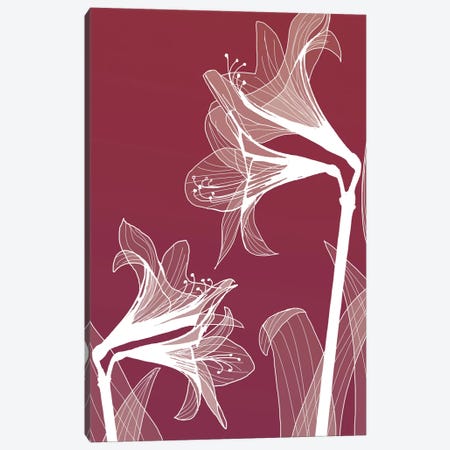 X-Ray Flowers II Canvas Print #GPH105} by GraphINC Canvas Artwork