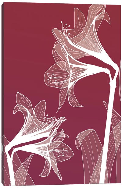 X-Ray Flowers II Canvas Art Print - GraphINC