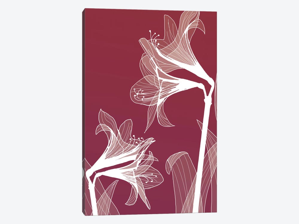 X-Ray Flowers II by GraphINC 1-piece Canvas Art Print