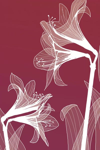 Lilies: X-Ray Flowers II by GraphINC