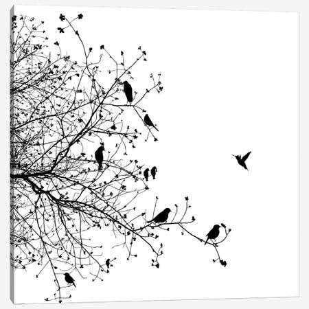 Birds I Canvas Print #GPH12} by GraphINC Canvas Art Print