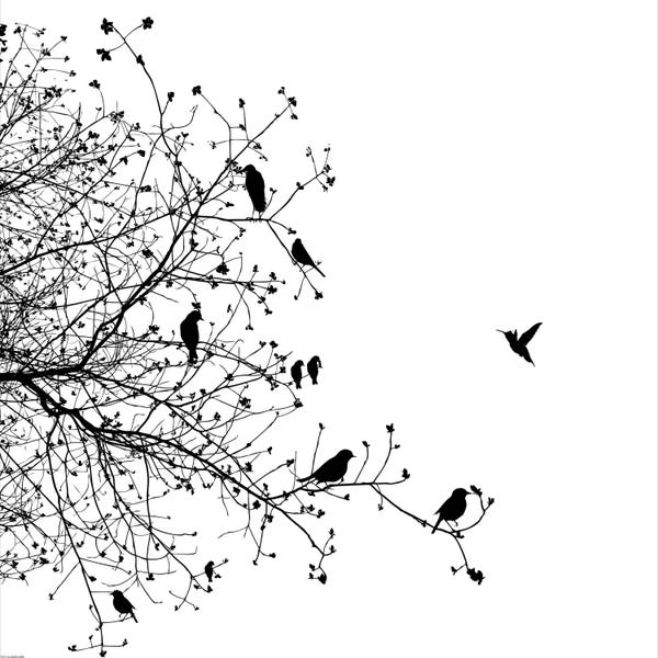 Japandi: Birds I by GraphINC