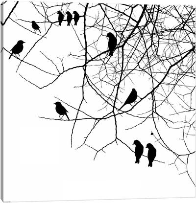 Birds II Canvas Art Print - GraphINC