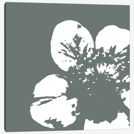Flower III Canvas Print #GPH40} by GraphINC Canvas Art
