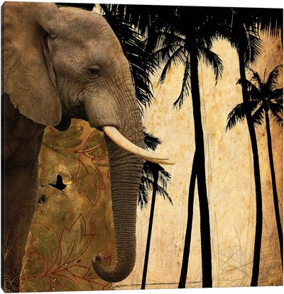 Mighty Elephant I Canvas Art Print