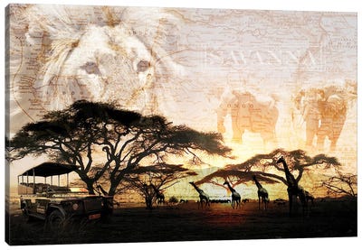 Savanna Canvas Art Print - Elephant Art