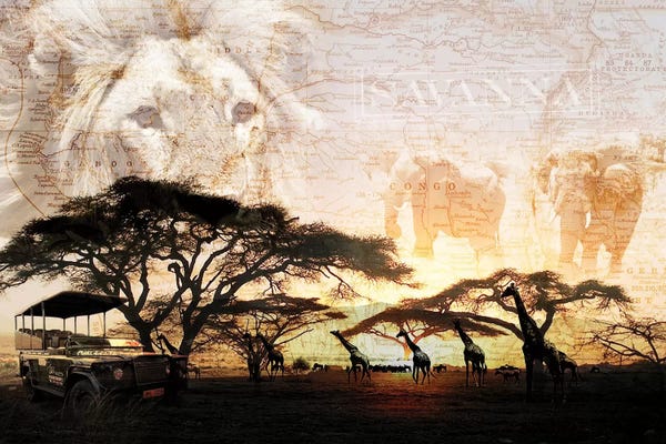Elephants: Savanna by GraphINC