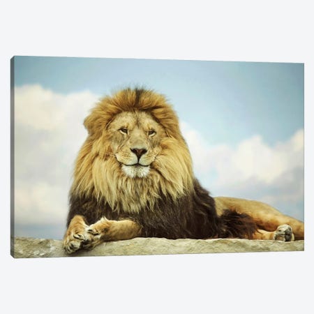 The King Canvas Print #GPO10} by Carrie Ann Grippo-Pike Canvas Artwork