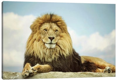 The King Canvas Art Print - Lion Art