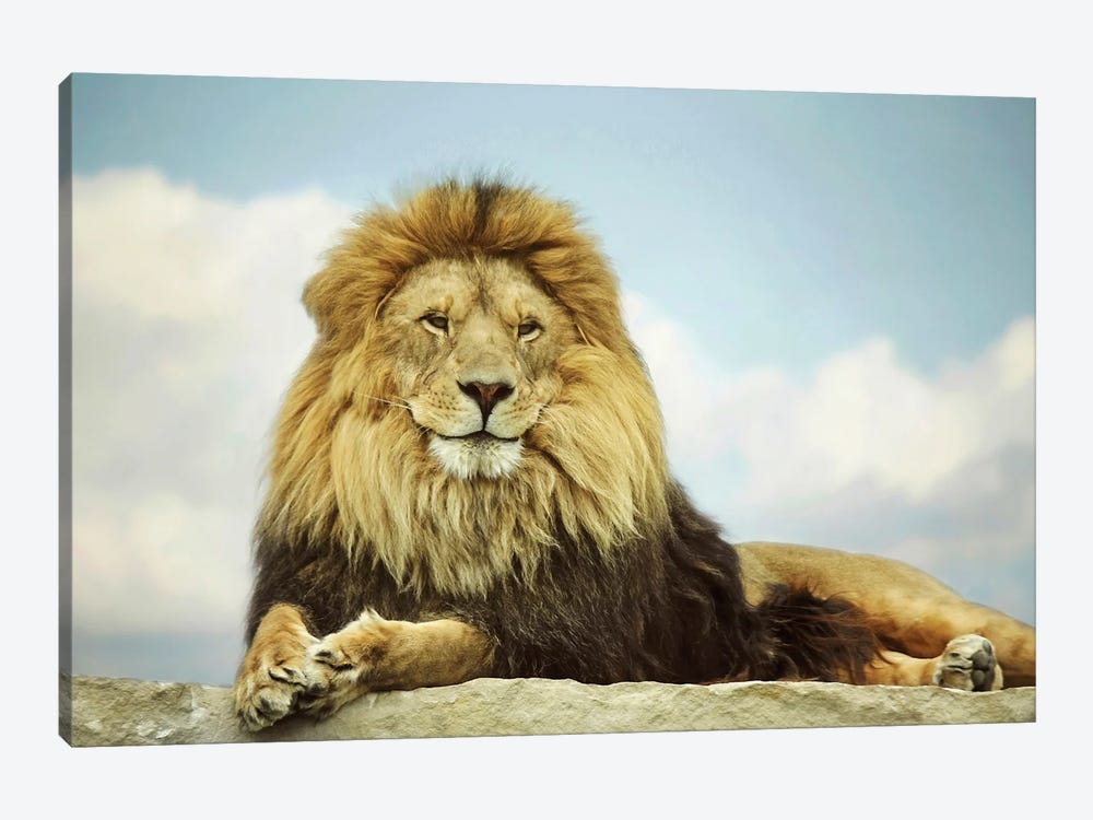 The King by Carrie Ann Grippo-Pike 1-piece Canvas Wall Art