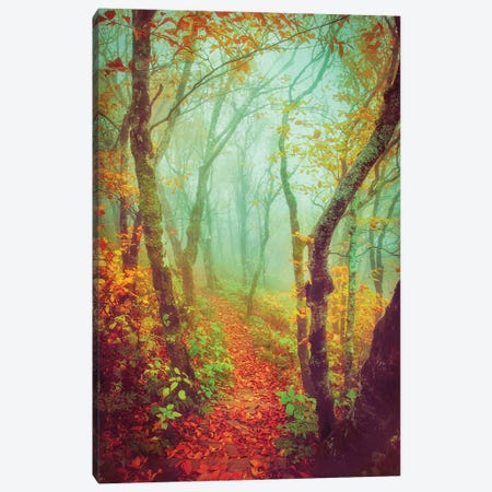 Fairytale Fall Pathway Canvas Print #GPO12} by Carrie Ann Grippo-Pike Canvas Art