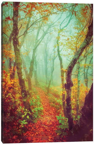 Fairytale Fall Pathway Canvas Art Print