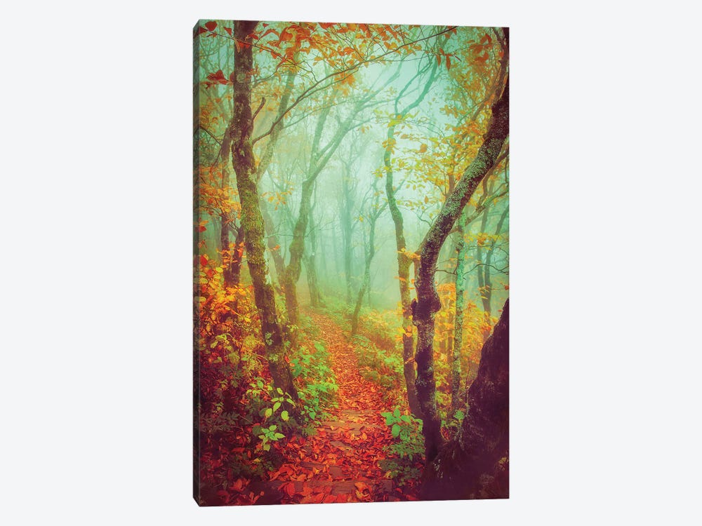 Fairytale Fall Pathway by Carrie Ann Grippo-Pike 1-piece Canvas Artwork