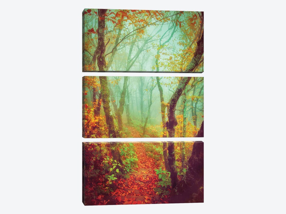 Fairytale Fall Pathway by Carrie Ann Grippo-Pike 3-piece Canvas Artwork