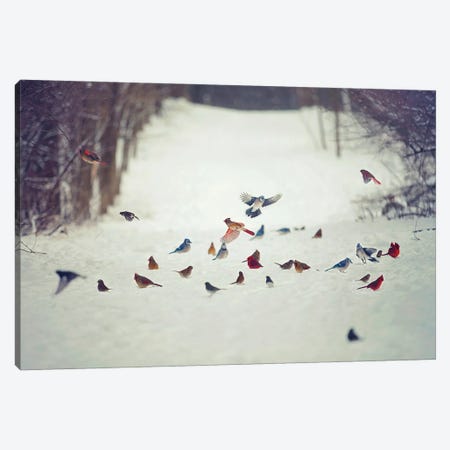 Feathered Friends Birds in Snow Canvas Print #GPO14} by Carrie Ann Grippo-Pike Canvas Art Print