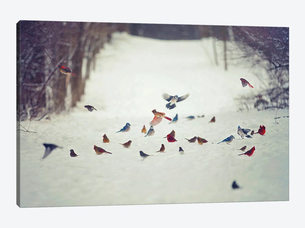 Feathered Friends Birds in Snow by Carrie Ann Grippo-Pike 1-piece Canvas Art