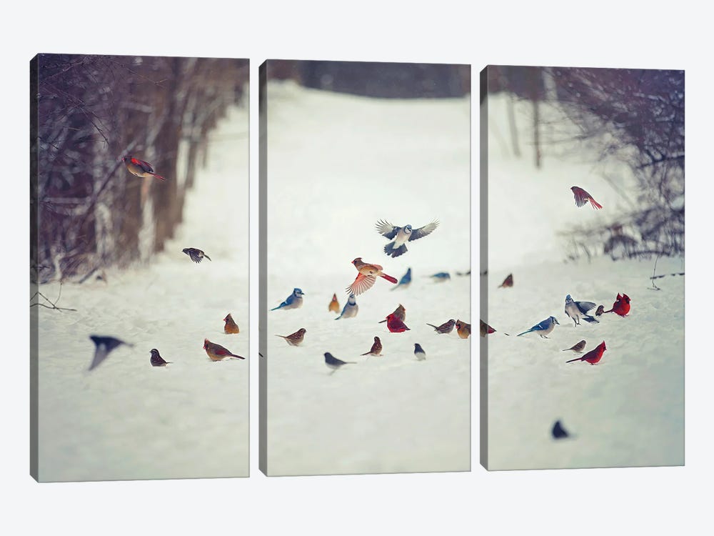 Feathered Friends Birds in Snow by Carrie Ann Grippo-Pike 3-piece Canvas Wall Art