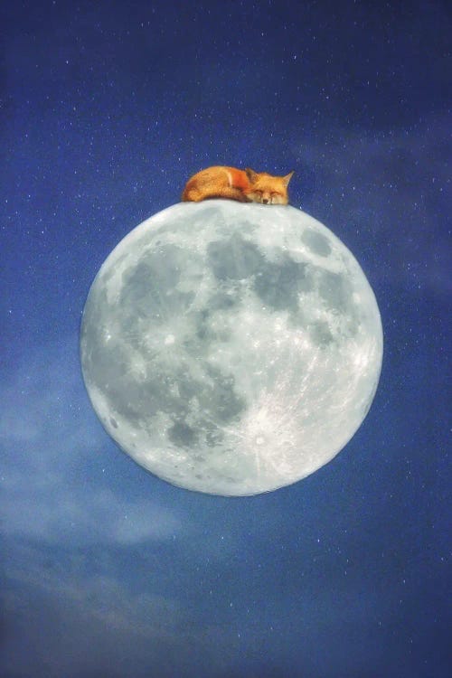 Fox Sleeping on Moon