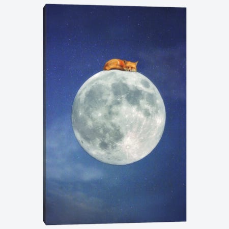 Fox Sleeping on Moon Canvas Print #GPO15} by Carrie Ann Grippo-Pike Canvas Art Print