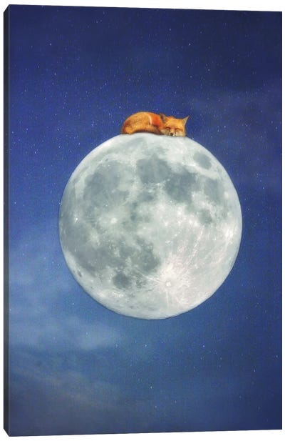 Fox Sleeping on Moon Canvas Art Print