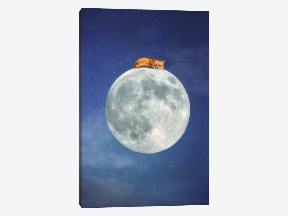 Fox Sleeping on Moon by Carrie Ann Grippo-Pike 1-piece Art Print