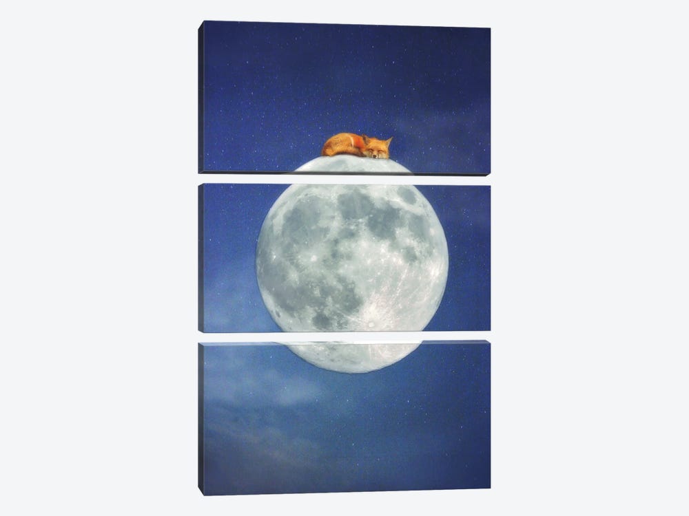 Fox Sleeping on Moon by Carrie Ann Grippo-Pike 3-piece Canvas Print
