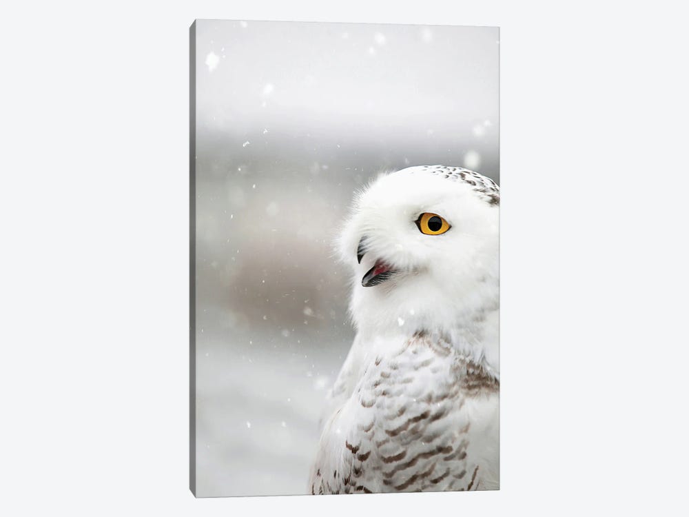 Snowy Owl in the Snow by Carrie Ann Grippo-Pike 1-piece Canvas Print