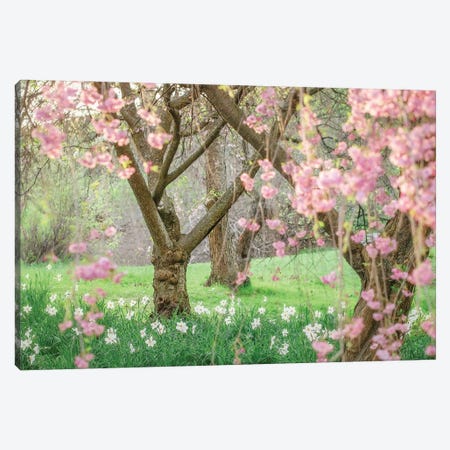 Springtime Fairytale Cherry Tree Canvas Print #GPO18} by Carrie Ann Grippo-Pike Canvas Wall Art